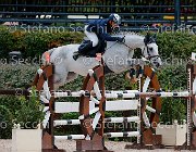 Cancogni Berlin's Pride GioCav2013 S5 1040 : Berlin's Pride, Campionati Italiani Giovani Cavalli, Cancogni Daniele, Cattolica, ph Stefano Secchi ©